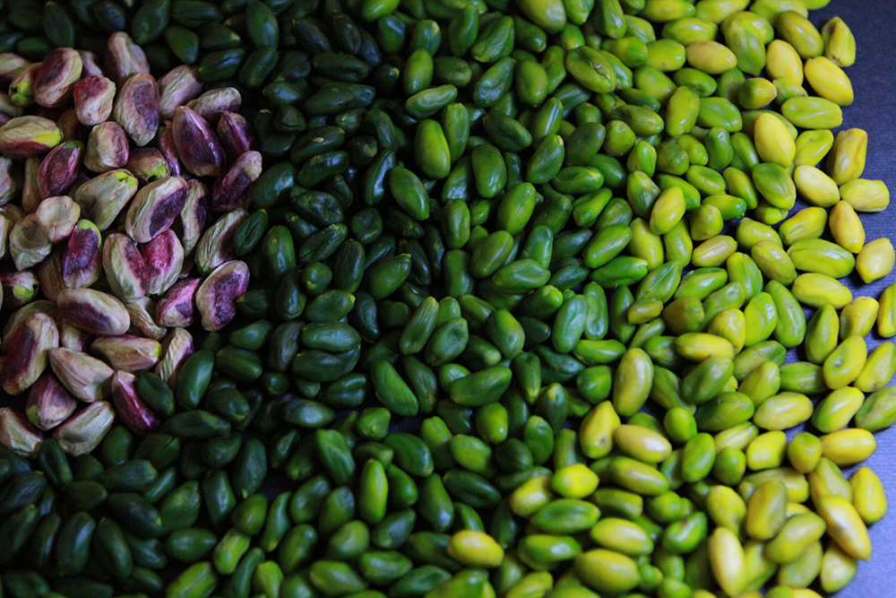 تشخیص مغز پسته سبز